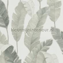Balinees blad papel de parede Livingwalls quadrado 