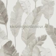 Balinees blad papel de parede Livingwalls quadrado 