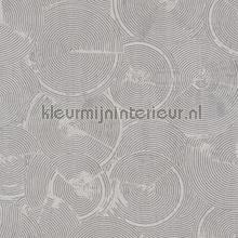 Rustiek chic cirkel relief behang 37900-2 Interieurvoorbeelden behang AS Creation