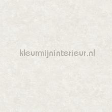 Uni luxe beton behang AS Creation Metropolitan Stories II 37902-2
