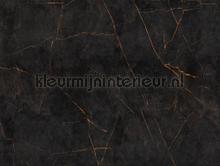 Zwart marmeren wand photomural Livingwalls world maps 