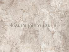 Marmeren wand photomural Livingwalls world maps 