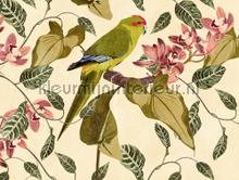 Exotisch vogel fotomurais Livingwalls telhas 
