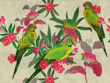 Grasgroene vogels fotomurais Livingwalls telhas 