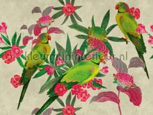 Grasgroene vogels wallcovering Livingwalls Metropolitan Stories THE WALL 382541