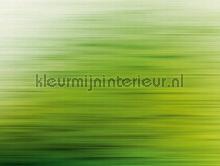 Groene snelheid fototapet Livingwalls stemning 