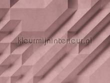 Oud roze 3d relief fototapet Livingwalls stemning 