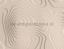 Hoogte relief fototapet Livingwalls stemning 