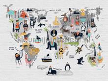 photomural world maps