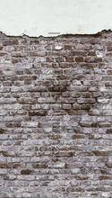 Muur fototapeten Livingwalls weltkarten 