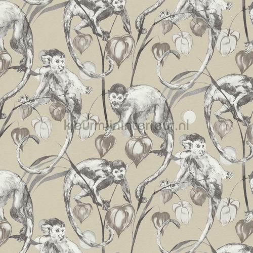 Mad monkeys papel pintado 379823 Exótico AS Creation