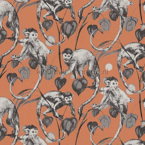 Mad monkeys wallcovering 379824 girls AS Creation