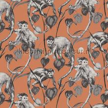 Mad monkeys wallcovering AS Creation Michalsky 4 Change is good 379824