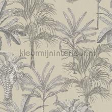 Tropical tale wallcovering AS Creation Michalsky 4 Change is good 379831