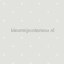 Stylish stars papier peint AS Creation Michalsky 4 Change is good 379851