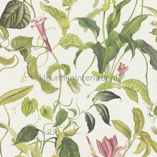 Fantastic flora tapeten 379881 romantisch modern AS Creation