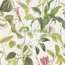 Fantastic flora wallcovering AS Creation Michalsky 4 Change is good 379881
