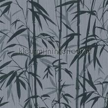 Bold bamboo wallcovering AS Creation Michalsky 4 Change is good 379894