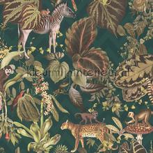 Jungle joy papier peint AS Creation Michalsky 4 Change is good 379902