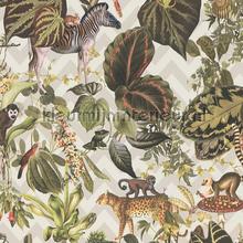 Jungle joy wallcovering AS Creation Michalsky 4 Change is good 379903