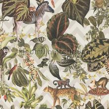 Jungle joy papier peint AS Creation Michalsky 4 Change is good 379903