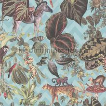 Jungle joy papier peint AS Creation Wallpaper creations 