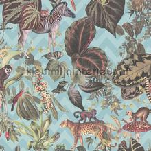 Jungle joy papel de parede AS Creation urbana 