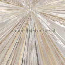 119051 behang Atlas Wallcoverings Modern Art 2118-1