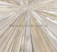 119131 fotobehang Atlas Wallcoverings Modern Abstract 