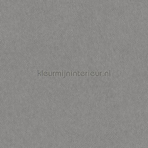 leer grijs plakfolie tns03.jpg premium motieven Bodaq