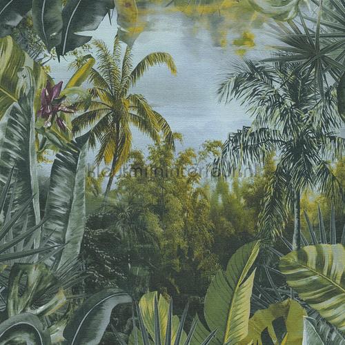 frisse jungle papel pintado 383561 selva Livingwalls