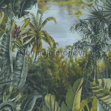Frisse jungle tapet Livingwalls urban 