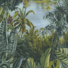 Frisse jungle behang Livingwalls Modern Abstract 