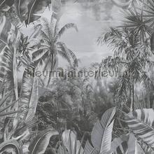 Frisse jungle papel pintado AS Creation rayas 