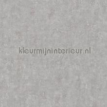 Beton tapeten Livingwalls uni farben 