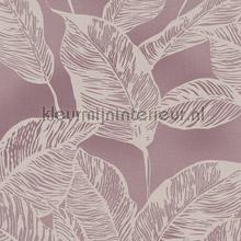 Eco bladeren papel de parede AS Creation marcas 