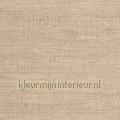 Grasweefsel zijdeglans lichtbeige papier peint 322626 matériaux naturels Styles