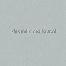 Uni structuur vergrijsd mintblauw tapeten Hookedonwalls alle bilder 