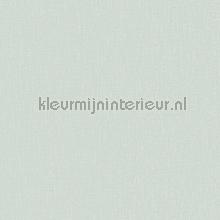 Uni structuur mint tapeten Hookedonwalls alle bilder 