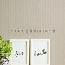 krijstreepbeige tapeten AS Creation New Elegance 375502