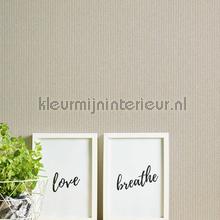 krijstreepbeige papel pintado 375502 New Elegance AS Creation