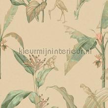 Tropische planten en dieren wallcovering Eijffinger Oasis 317344