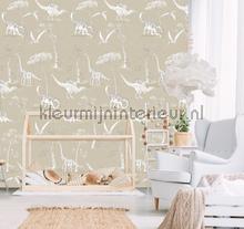 Dino toile sand fottobehaang Behang Expresse tiener 