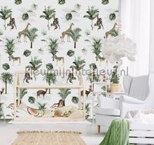 Jungle play fottobehaang Behang Expresse tiener 