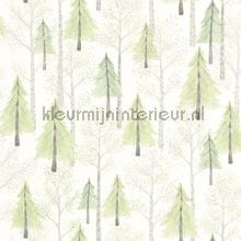 Walk in the forest behang Casadeco Baby Peuter 