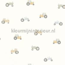 Vintage tractor behaang Casadeco tiener 