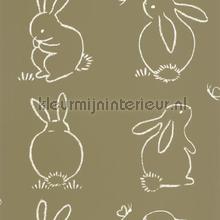 Funny bunny papel de parede Casadeco urbana 