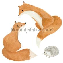 Fox stickerset autocolantes decoracao Casadeco Bebs Crianas 