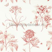 Etchings and roses Amanpuri Red behang Sanderson romantisch 