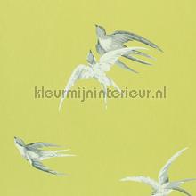 Swallows Lime behang Sanderson romantisch 